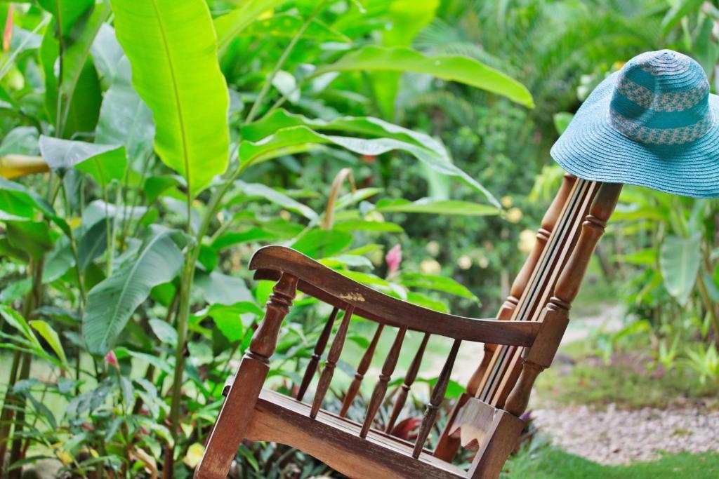 Zula Inn Aparthotel Playa Santa Teresa (Puntarenas) Quarto foto